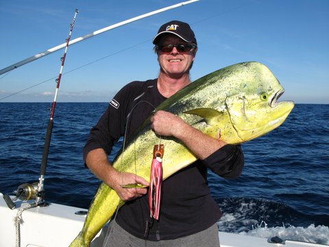 ANGLER: Terry Bugden  SPECIES: Dolphinfish WEIGHT: 18 Kg LURE: J.B. Chook